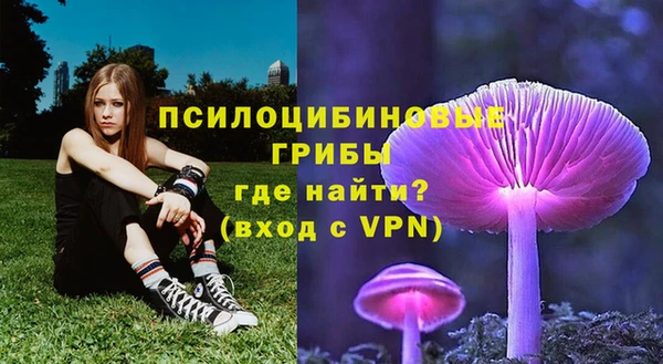 MDMA Premium VHQ Касимов
