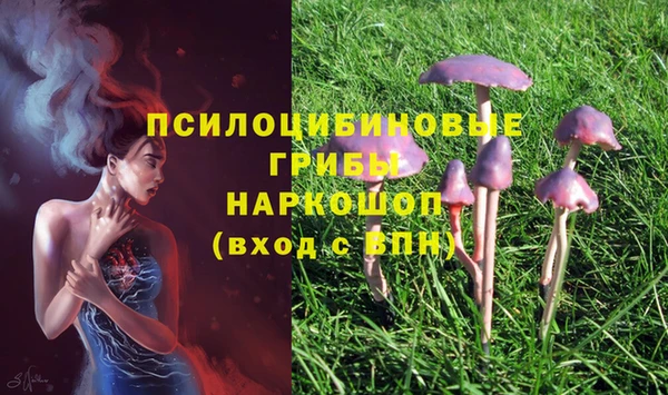 таблы Карпинск