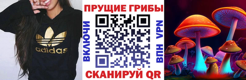 Галлюциногенные грибы прущие грибы как найти наркотики Короча